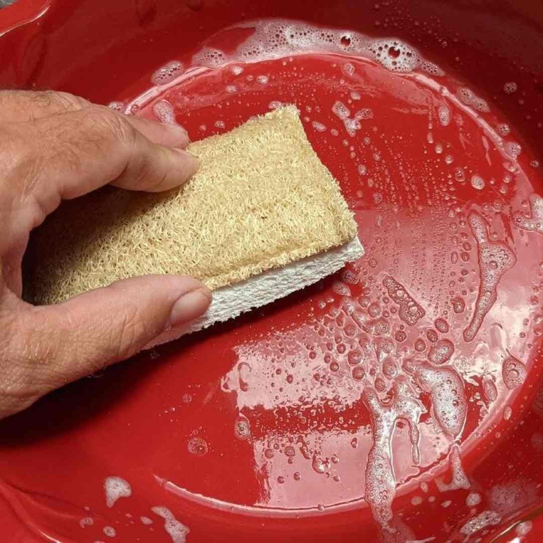 Disposable sponges best sale for dishes